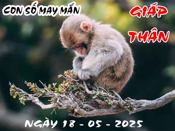 Cặp số đẹp tuổi Giáp Thân ngày 18/5/2025 chủ nhật hôm nay