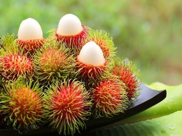 Mơ thấy quả chôm chôm có ý nghĩa gì, điềm gì?