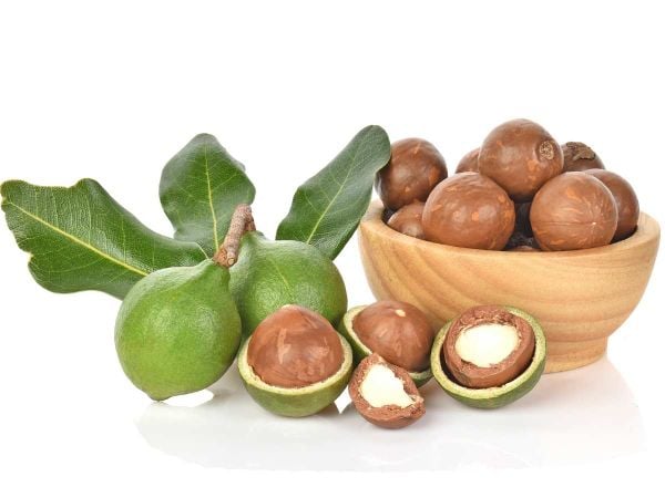 Ý nghĩa nằm mơ thấy quả macca và bộ số tương ứng